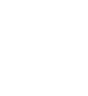 noun_Percent_360011