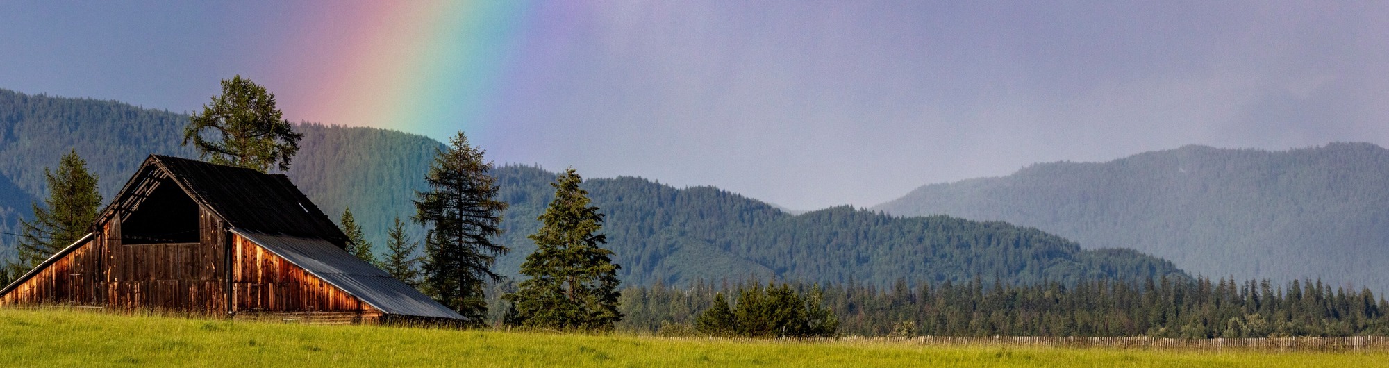 whitefish-carousel-1-1